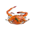 꽃게