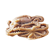 낙지