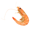 대하