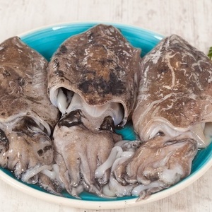 산지직송갑오징어 1kg
