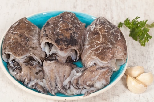 산지직송갑오징어 1kg