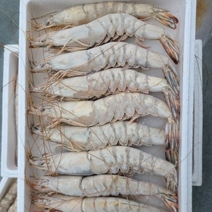 안면도명품자연산대하 1kg